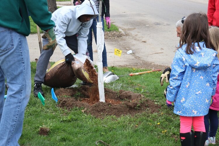 treeplanting